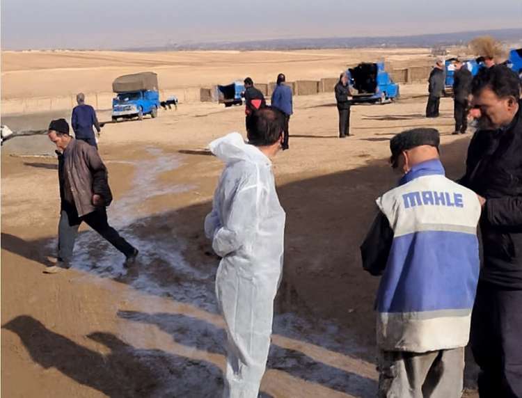 بازدید بهداشتی دامپزشکی خدابنده از میدان دام سنگین و آموزش پیشگیری از تب برفکی